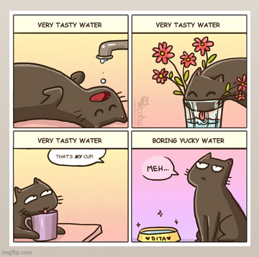It's always anywhere but the drinking bowl | image tagged in cat,cartoons,comics | made w/ Imgflip meme maker