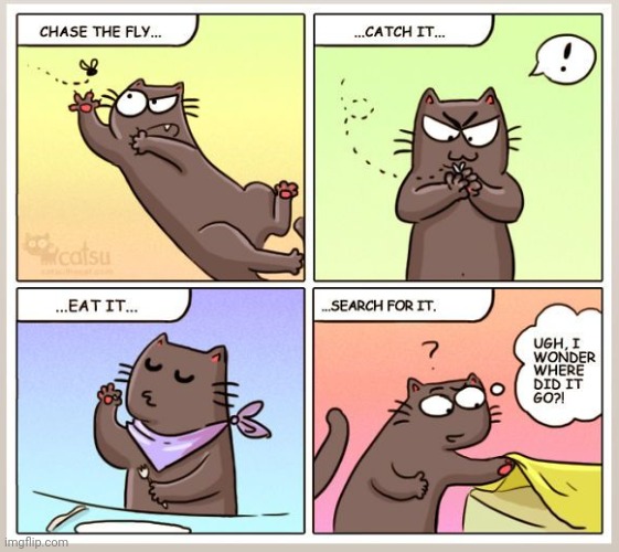 Just look for more | image tagged in cat,cartoon,comics | made w/ Imgflip meme maker