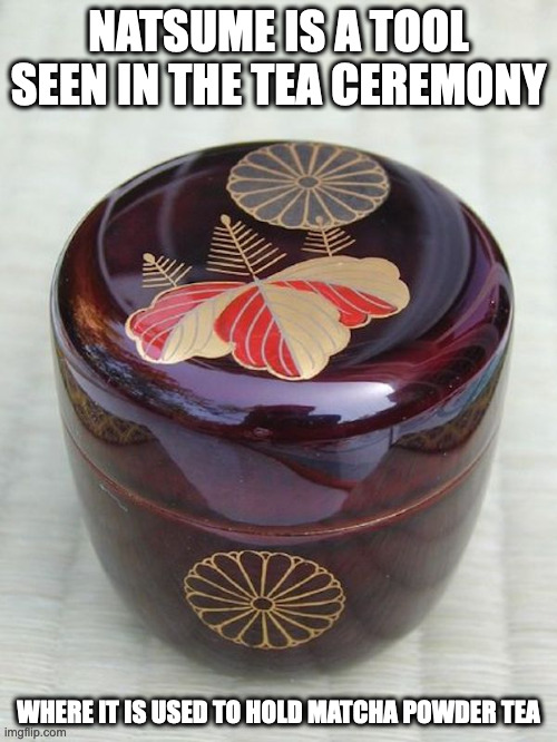 Natsume | NATSUME IS A TOOL SEEN IN THE TEA CEREMONY; WHERE IT IS USED TO HOLD MATCHA POWDER TEA | image tagged in tea,memes | made w/ Imgflip meme maker