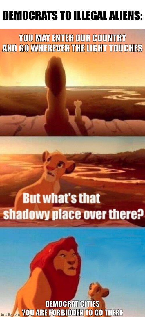 No sanctuary for you! | DEMOCRATS TO ILLEGAL ALIENS:; YOU MAY ENTER OUR COUNTRY AND GO WHEREVER THE LIGHT TOUCHES; DEMOCRAT CITIES
YOU ARE FORBIDDEN TO GO THERE | image tagged in memes,simba shadowy place,democrats,border,illegal immigration | made w/ Imgflip meme maker