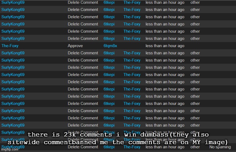 why | there is 23k comments i win dumbass(they also sitewide commentbanned me the comments are on MY image) | made w/ Imgflip meme maker