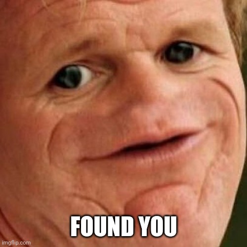 SOSIG | FOUND YOU | image tagged in sosig | made w/ Imgflip meme maker