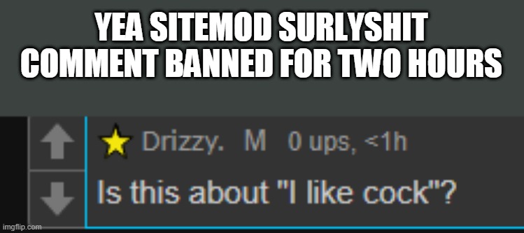 i like the name surlyshit also it was a sitewide ban | YEA SITEMOD SURLYSHIT COMMENT BANNED FOR TWO HOURS | made w/ Imgflip meme maker