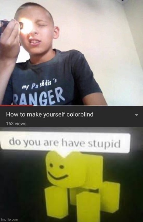PROBABLY NOT A GOOD IDEA | image tagged in do you are have stupid,stupid people,fail,youtuber | made w/ Imgflip meme maker