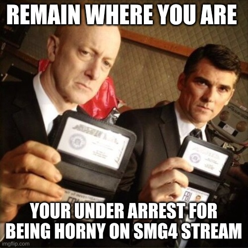 FBI | REMAIN WHERE YOU ARE YOUR UNDER ARREST FOR BEING HORNY ON SMG4 STREAM | image tagged in fbi | made w/ Imgflip meme maker