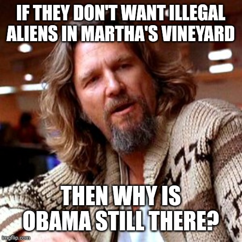 The one illegal alien that needs to go | IF THEY DON'T WANT ILLEGAL ALIENS IN MARTHA'S VINEYARD; THEN WHY IS OBAMA STILL THERE? | image tagged in memes,confused lebowski | made w/ Imgflip meme maker