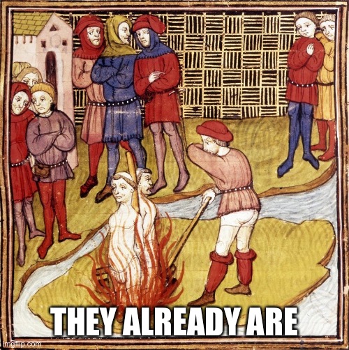 Burning at the stake | THEY ALREADY ARE | image tagged in burning at the stake | made w/ Imgflip meme maker