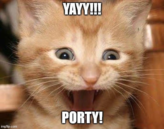 yee! | YAYY!!! PORTY! | image tagged in memes,excited cat | made w/ Imgflip meme maker