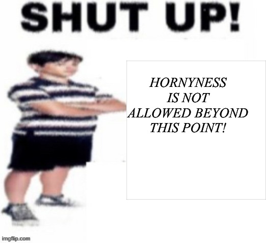No more horny!! | HORNYNESS IS NOT ALLOWED BEYOND THIS POINT! | image tagged in memes,diary of a wimpy kid | made w/ Imgflip meme maker