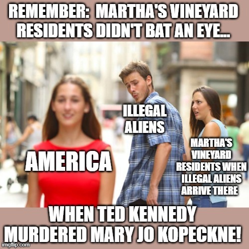 From Sea To Shining Hypocrisy | image tagged in memes,distracted boyfriend,political memes,martha's vineyard,illegal aliens,deportation | made w/ Imgflip meme maker