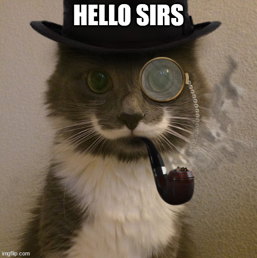 cat with monocle, pipe, top hat | HELLO SIRS | image tagged in cat with monocle pipe top hat | made w/ Imgflip meme maker