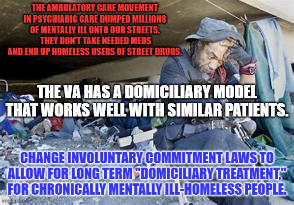 Decades of studies show that 25% of the Homeless are Chronically Mentally Ill. | THE AMBULATORY CARE MOVEMENT IN PSYCHIARIC CARE DUMPED MILLIONS OF MENTALLY ILL ONTO OUR STREETS.  THEY DON'T TAKE NEEDED MEDS AND END UP HOMELESS USERS OF STREET DRUGS. THE VA HAS A DOMICILIARY MODEL THAT WORKS WELL WITH SIMILAR PATIENTS. CHANGE INVOLUNTARY COMMITMENT LAWS TO ALLOW FOR LONG TERM "DOMICILIARY TREATMENT," FOR CHRONICALLY MENTALLY ILL-HOMELESS PEOPLE. | image tagged in politics | made w/ Imgflip meme maker