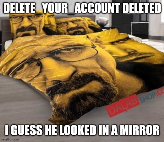 Breaking Bed | DELETE_YOUR_ACCOUNT DELETED; I GUESS HE LOOKED IN A MIRROR | image tagged in breaking bed | made w/ Imgflip meme maker