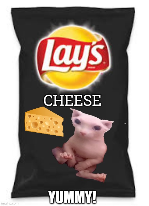 Lays Do Us A Flavor Blank Black | CHEESE; YUMMY! | image tagged in lays do us a flavor blank black | made w/ Imgflip meme maker