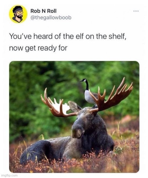 this is definitely scarier | made w/ Imgflip meme maker