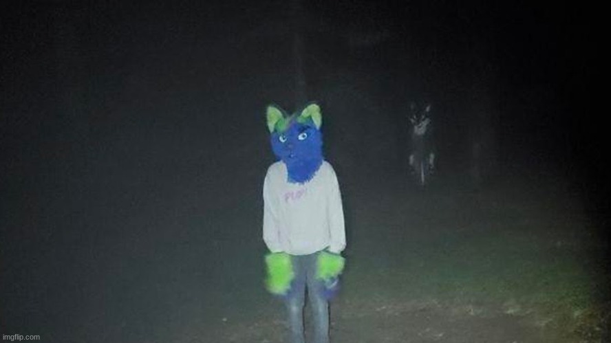 day 3 of cursed fursuits because why not xD (CREDIT GOES TO ODIN WOLF) | image tagged in cursed image,furry,furry memes,the furry fandom,cursed,you have been eternally cursed for reading the tags | made w/ Imgflip meme maker