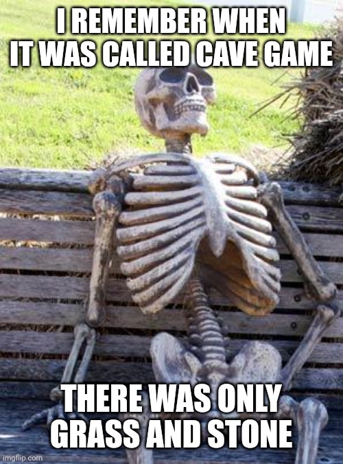 Waiting Skeleton Meme | I REMEMBER WHEN IT WAS CALLED CAVE GAME THERE WAS ONLY GRASS AND STONE | image tagged in memes,waiting skeleton | made w/ Imgflip meme maker