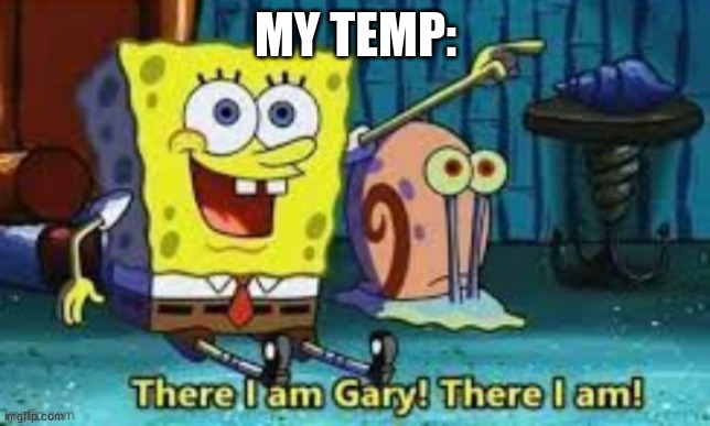 There I Am Gary! | MY TEMP: | image tagged in there i am gary | made w/ Imgflip meme maker