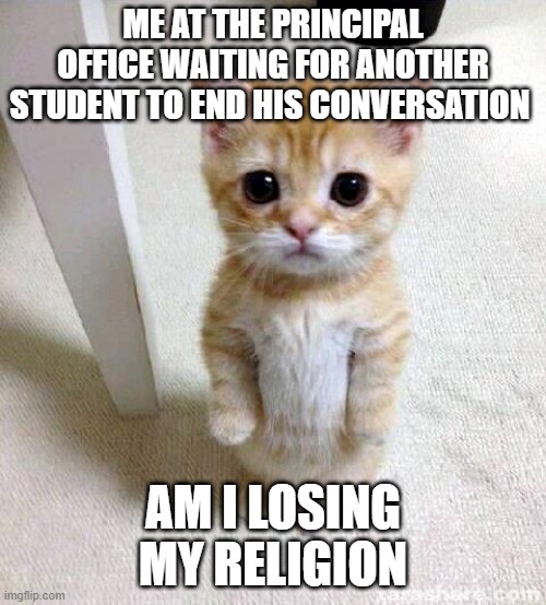 Cute Cat | ME AT THE PRINCIPAL OFFICE WAITING FOR ANOTHER STUDENT TO END HIS CONVERSATION; AM I LOSING MY RELIGION | image tagged in memes,cute cat | made w/ Imgflip meme maker