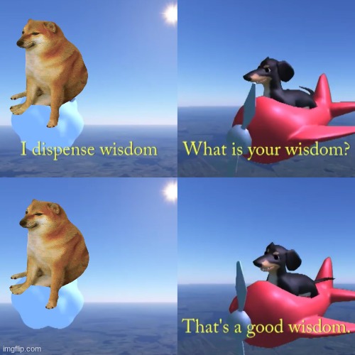 That's a good wisdom | image tagged in that's a good wisdom | made w/ Imgflip meme maker