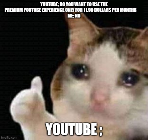 sad thumbs up cat | YOUTUBE; DO YOU WANT TO USE THE PREMIUM YOUTUBE EXPERIENCE ONLY FOR 11.99 DOLLARS PER MONTHB        
ME; NO; YOUTUBE ; | image tagged in sad thumbs up cat | made w/ Imgflip meme maker