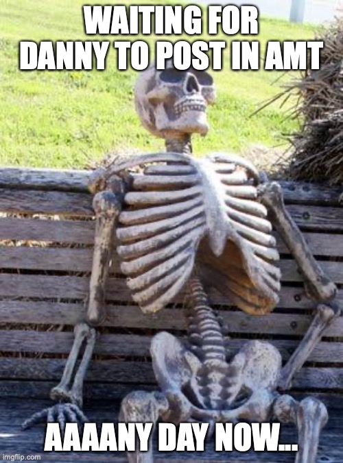 on the bright side tho I got banned there :) | WAITING FOR DANNY TO POST IN AMT; AAAANY DAY NOW... | image tagged in memes,waiting skeleton | made w/ Imgflip meme maker