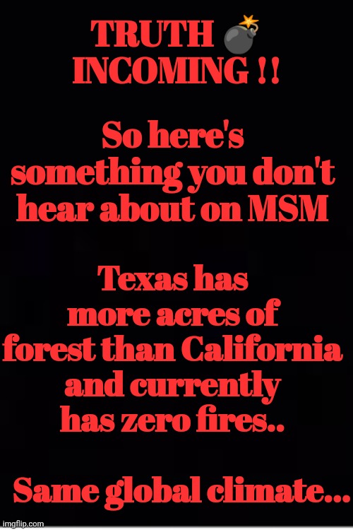 Truth Incoming |  TRUTH 💣 INCOMING !! So here's something you don't hear about on MSM; Texas has more acres of forest than California and currently has zero fires.. Same global climate... | image tagged in california fires,texas,zero,wildfires | made w/ Imgflip meme maker