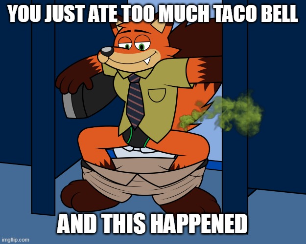 eating taco bell | YOU JUST ATE TOO MUCH TACO BELL; AND THIS HAPPENED | image tagged in toilet | made w/ Imgflip meme maker