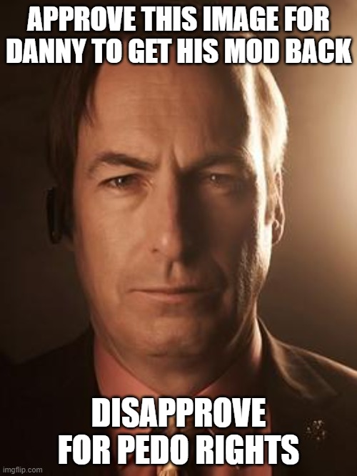 Leave in approval queue forever if based | APPROVE THIS IMAGE FOR DANNY TO GET HIS MOD BACK; DISAPPROVE FOR PEDO RIGHTS | image tagged in saul goodman | made w/ Imgflip meme maker