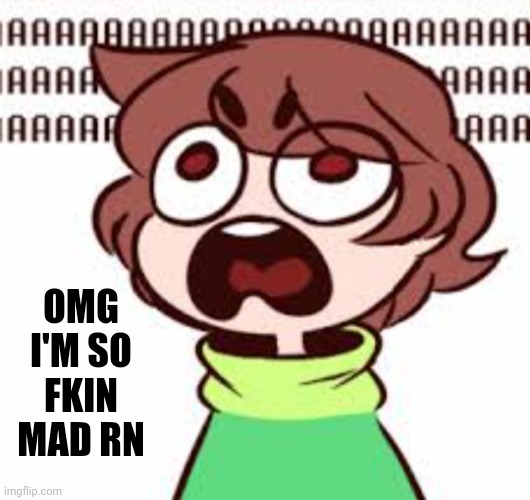 AAAAAAAQQ | OMG I'M SO FKIN MAD RN | image tagged in screaming -chara_tgm- | made w/ Imgflip meme maker