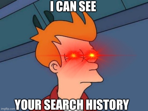 The Searcher | I CAN SEE; YOUR SEARCH HISTORY | image tagged in memes,futurama fry | made w/ Imgflip meme maker