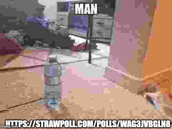 https://strawpoll.com/polls/wAg3jVBGln8 | HTTPS://STRAWPOLL.COM/POLLS/WAG3JVBGLN8 | image tagged in man | made w/ Imgflip meme maker