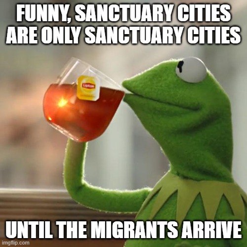 But That's None Of My Business |  FUNNY, SANCTUARY CITIES ARE ONLY SANCTUARY CITIES; UNTIL THE MIGRANTS ARRIVE | image tagged in memes,but that's none of my business,kermit the frog | made w/ Imgflip meme maker