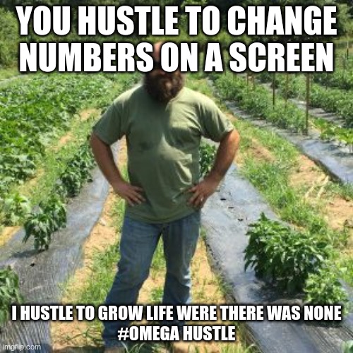 terraform | YOU HUSTLE TO CHANGE NUMBERS ON A SCREEN; I HUSTLE TO GROW LIFE WERE THERE WAS NONE
#OMEGA HUSTLE | image tagged in hustle | made w/ Imgflip meme maker