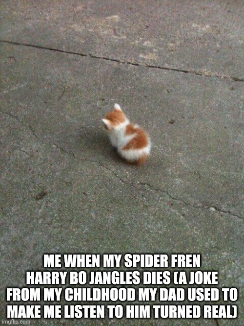 He was my fren wolf spider and I miss him | ME WHEN MY SPIDER FREN HARRY BO JANGLES DIES (A JOKE FROM MY CHILDHOOD MY DAD USED TO MAKE ME LISTEN TO HIM TURNED REAL) | image tagged in no talk am angy | made w/ Imgflip meme maker