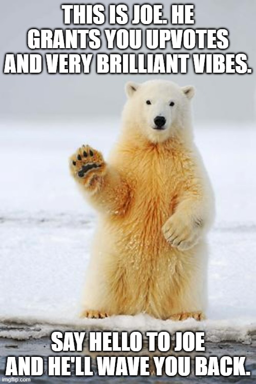say hello to joe :) | THIS IS JOE. HE GRANTS YOU UPVOTES AND VERY BRILLIANT VIBES. SAY HELLO TO JOE AND HE'LL WAVE YOU BACK. | image tagged in hello polar bear | made w/ Imgflip meme maker