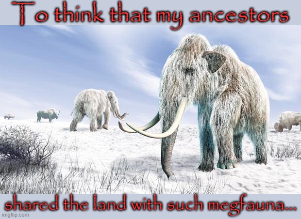 Hard to imagine now. | To think that my ancestors; shared the land with such megfauna... | image tagged in wooly mammoth,mind blown,ancient,history,climate change | made w/ Imgflip meme maker