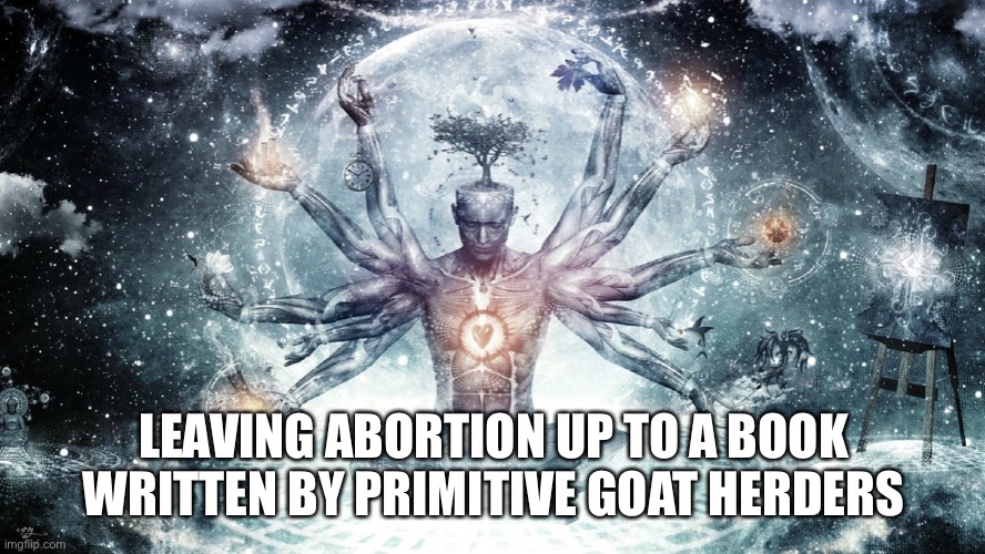 Ascendant human | LEAVING ABORTION UP TO A BOOK WRITTEN BY PRIMITIVE GOAT HERDERS | image tagged in ascendant human | made w/ Imgflip meme maker