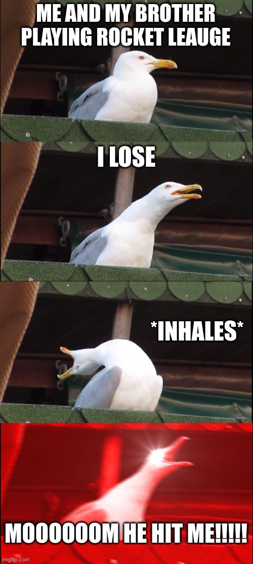 Inhaling Seagull Meme | ME AND MY BROTHER PLAYING ROCKET LEAUGE; I LOSE; *INHALES*; MOOOOOOM HE HIT ME!!!!! | image tagged in memes,inhaling seagull | made w/ Imgflip meme maker