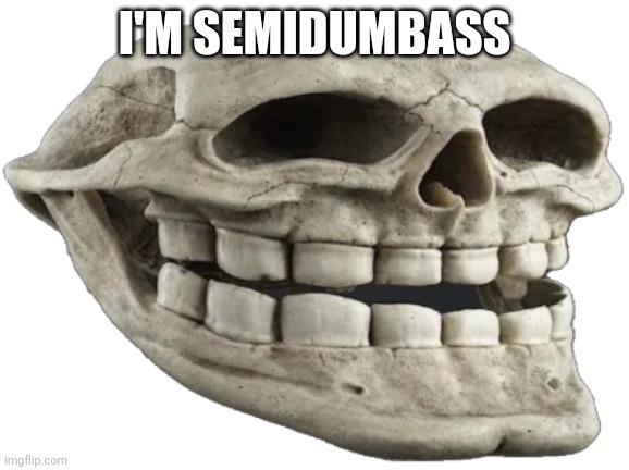 Trull | I'M SEMIDUMBASS | image tagged in trull | made w/ Imgflip meme maker