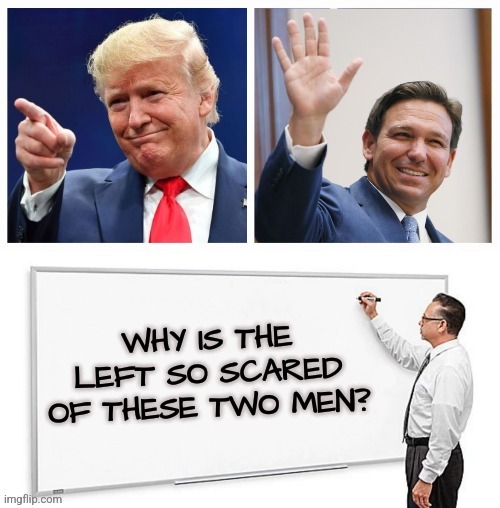 Two Warriors | WHY ARE THEY SO SCARED OF THESE TWO? WHY IS THE LEFT SO SCARED OF THESE TWO MEN? | image tagged in 2 options and whiteboard,donald trump,ron desantis,memes,liberals,democrats | made w/ Imgflip meme maker