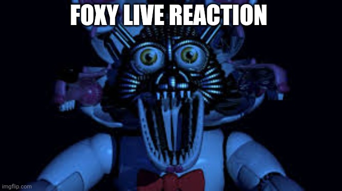 Funtime foxy jumpscare fnaf sister location | FOXY LIVE REACTION | image tagged in funtime foxy jumpscare fnaf sister location | made w/ Imgflip meme maker