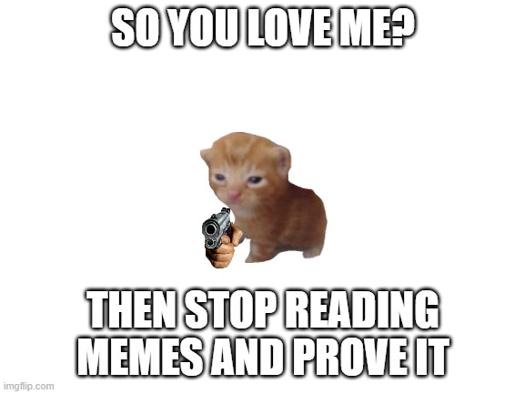 stop scrolling | SO YOU LOVE ME? THEN STOP READING MEMES AND PROVE IT | image tagged in blank white template,cats | made w/ Imgflip meme maker