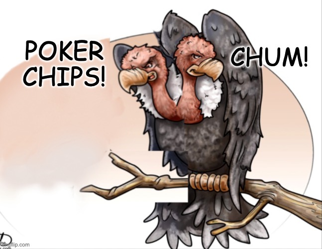 Two-headed vulture | POKER
CHIPS! CHUM! | image tagged in two-headed vulture | made w/ Imgflip meme maker