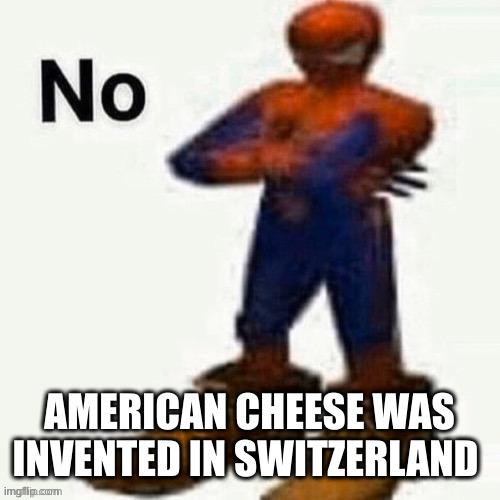 /srs | AMERICAN CHEESE WAS INVENTED IN SWITZERLAND | image tagged in no | made w/ Imgflip meme maker