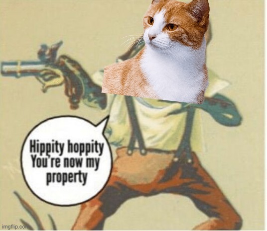 Hippity hoppity, you're now my property | image tagged in hippity hoppity you're now my property | made w/ Imgflip meme maker