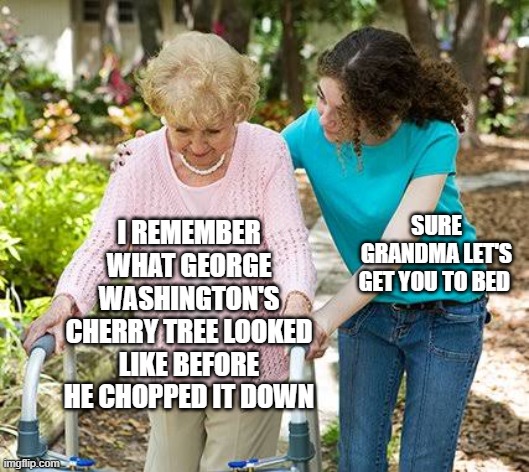 I Remember When | SURE GRANDMA LET'S GET YOU TO BED; I REMEMBER WHAT GEORGE WASHINGTON'S CHERRY TREE LOOKED LIKE BEFORE HE CHOPPED IT DOWN | image tagged in sure grandma let's get you to bed,memes,humor,funny,funny memes,fun | made w/ Imgflip meme maker