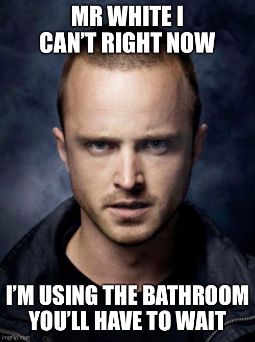 MR WHITE I CAN’T RIGHT NOW I’M USING THE BATHROOM YOU’LL HAVE TO WAIT | made w/ Imgflip meme maker