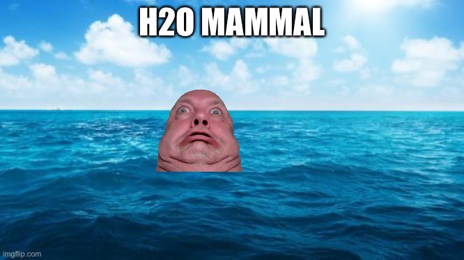 Ocean | H2O MAMMAL | image tagged in ocean | made w/ Imgflip meme maker