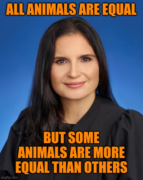 Aileen Cannon maga trump judge | ALL ANIMALS ARE EQUAL BUT SOME ANIMALS ARE MORE EQUAL THAN OTHERS | image tagged in aileen cannon maga trump judge | made w/ Imgflip meme maker